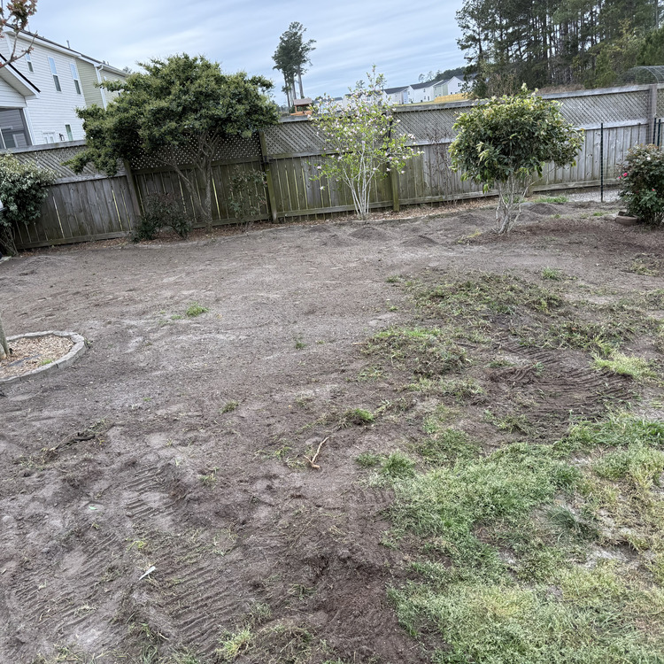 Just another WordPress site