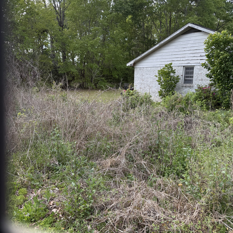 Just another WordPress site